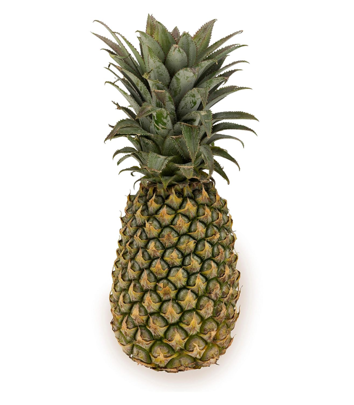 Untitled design (75)