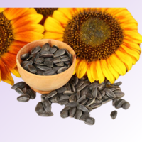 Add a subheading (250 x 250 px) (34)