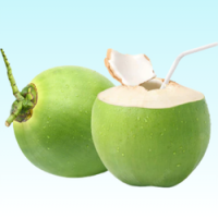 Add a subheading (250 x 250 px) (36)