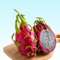 Add a subheading (250 x 250 px) (39)